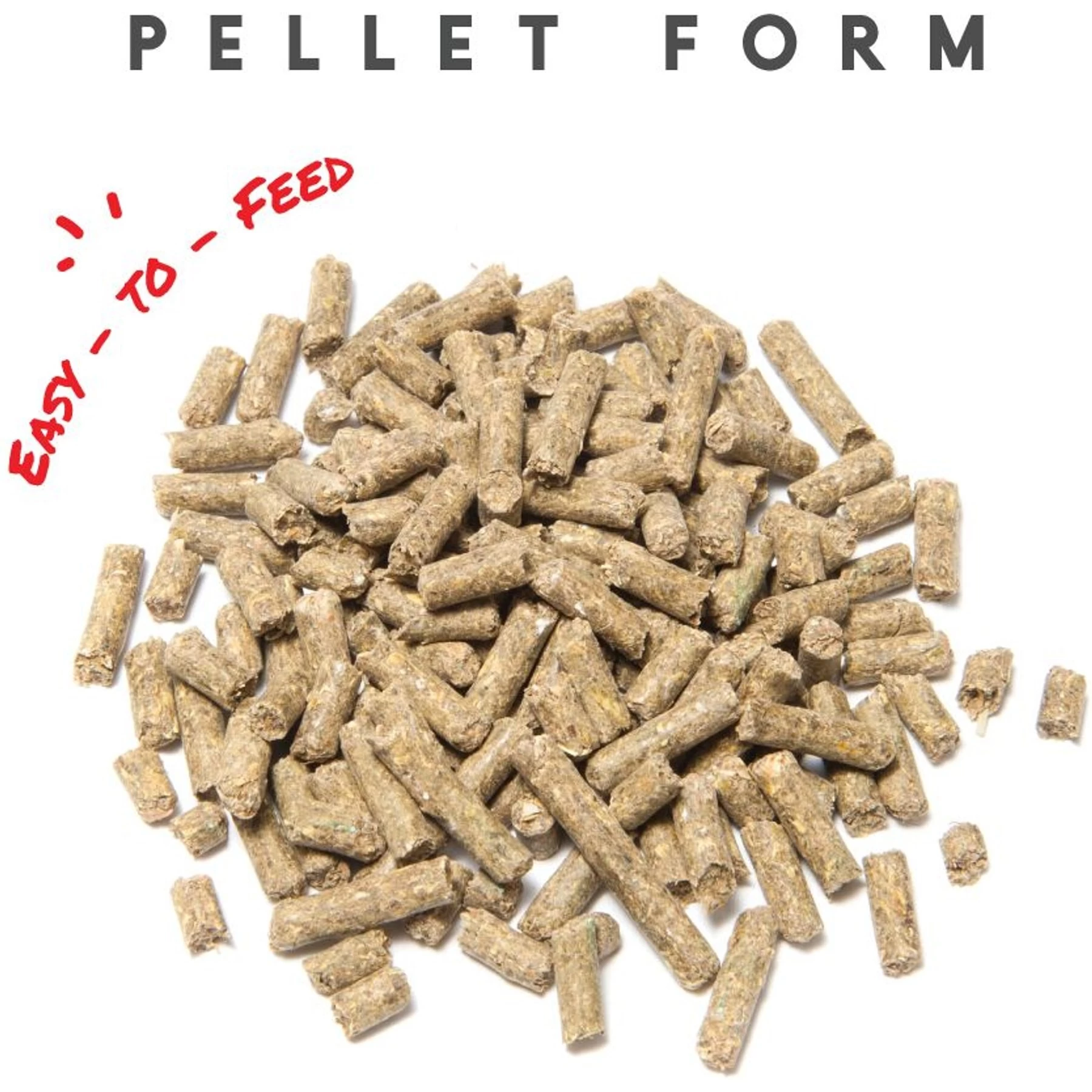 Manna Pro Sho-Glo Complete Vitamin & Mineral Supplement For Healthy Skin & Coat Horse Supplement, 5-lb Bag 6 Manna Pro Sho-Glo Complete Vitamin & Mineral Supplement For Healthy Skin & Coat Horse Supplement, 5-lb Bag - Image 6