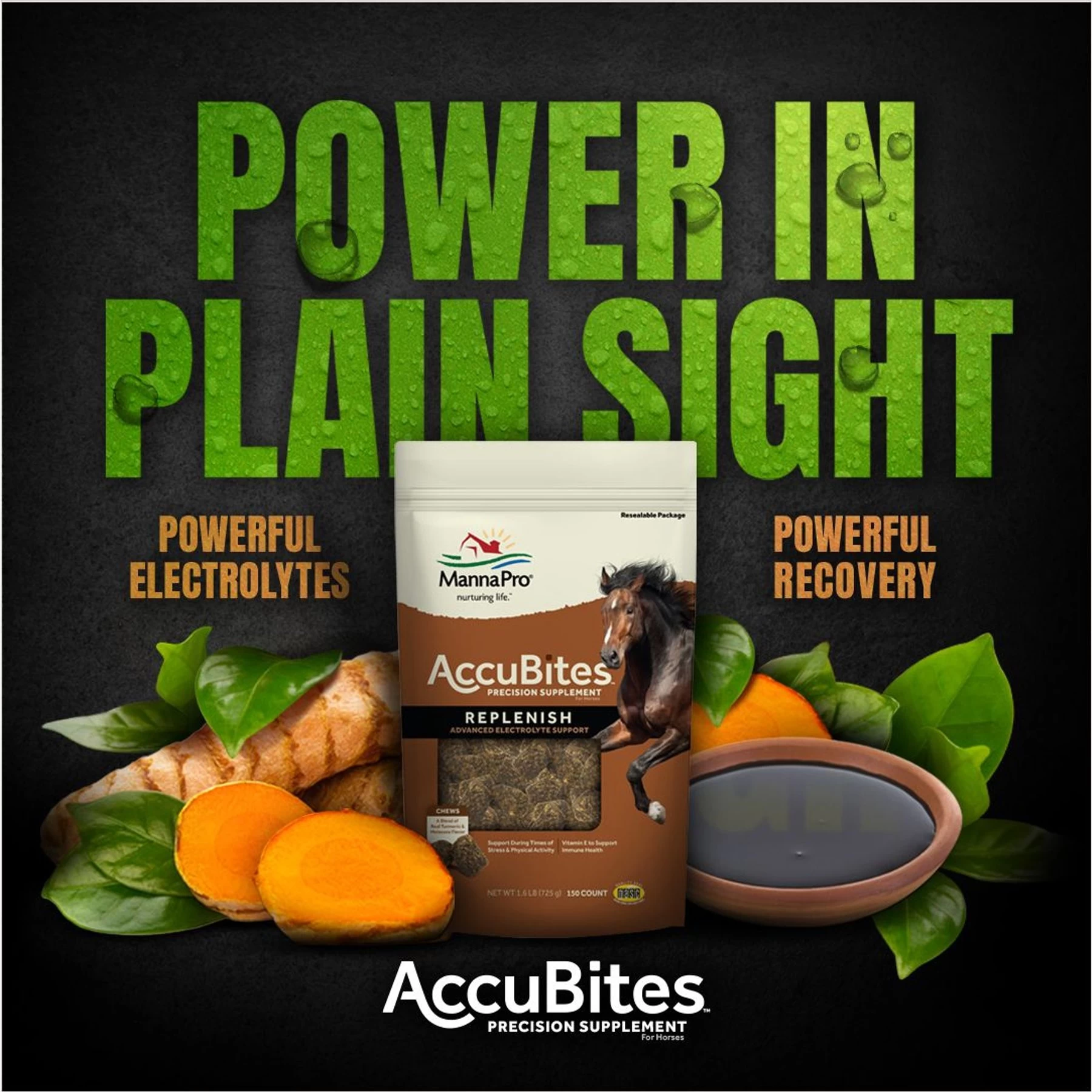 Manna Pro MP Accubites Replenish Equine Horse Supplement, 1.6-lb Bag 3 Manna Pro MP Accubites Replenish Equine Horse Supplement, 1.6-lb Bag - Image 3