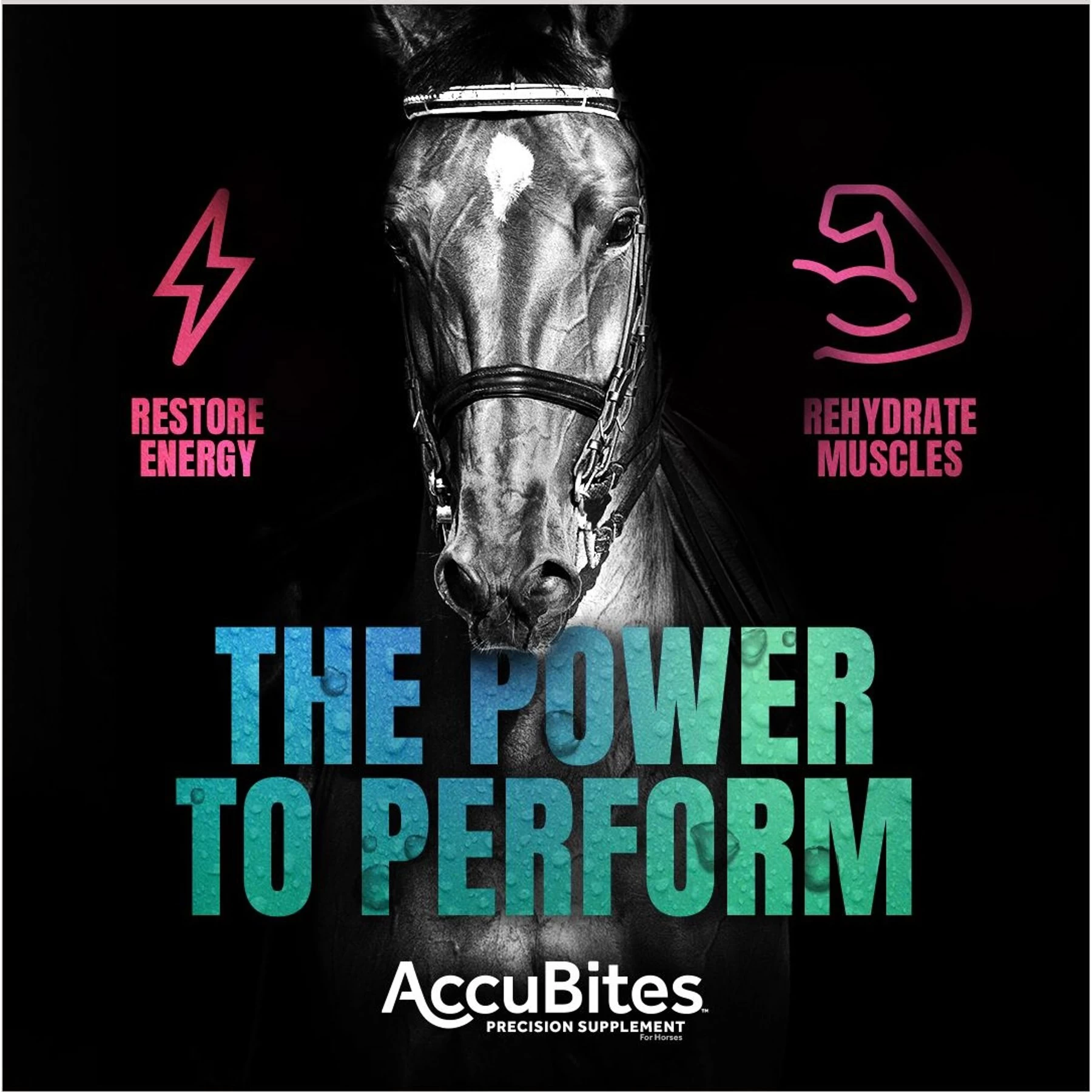 Manna Pro MP Accubites Replenish Equine Horse Supplement, 1.6-lb Bag 4 Manna Pro MP Accubites Replenish Equine Horse Supplement, 1.6-lb Bag - Image 4