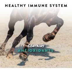 Manna Pro Sho-Flex Formulated With MSM Glucosamine & Chondroitin Horse Supplement, 5-lb Bag -Horse Supplies Shop 837382 PT3. AC SS1800 V1683120778