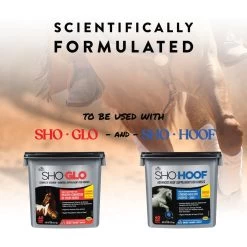 Manna Pro Sho-Flex Formulated With MSM Glucosamine & Chondroitin Horse Supplement, 5-lb Bag -Horse Supplies Shop 837382 PT5. AC SS1800 V1683120776