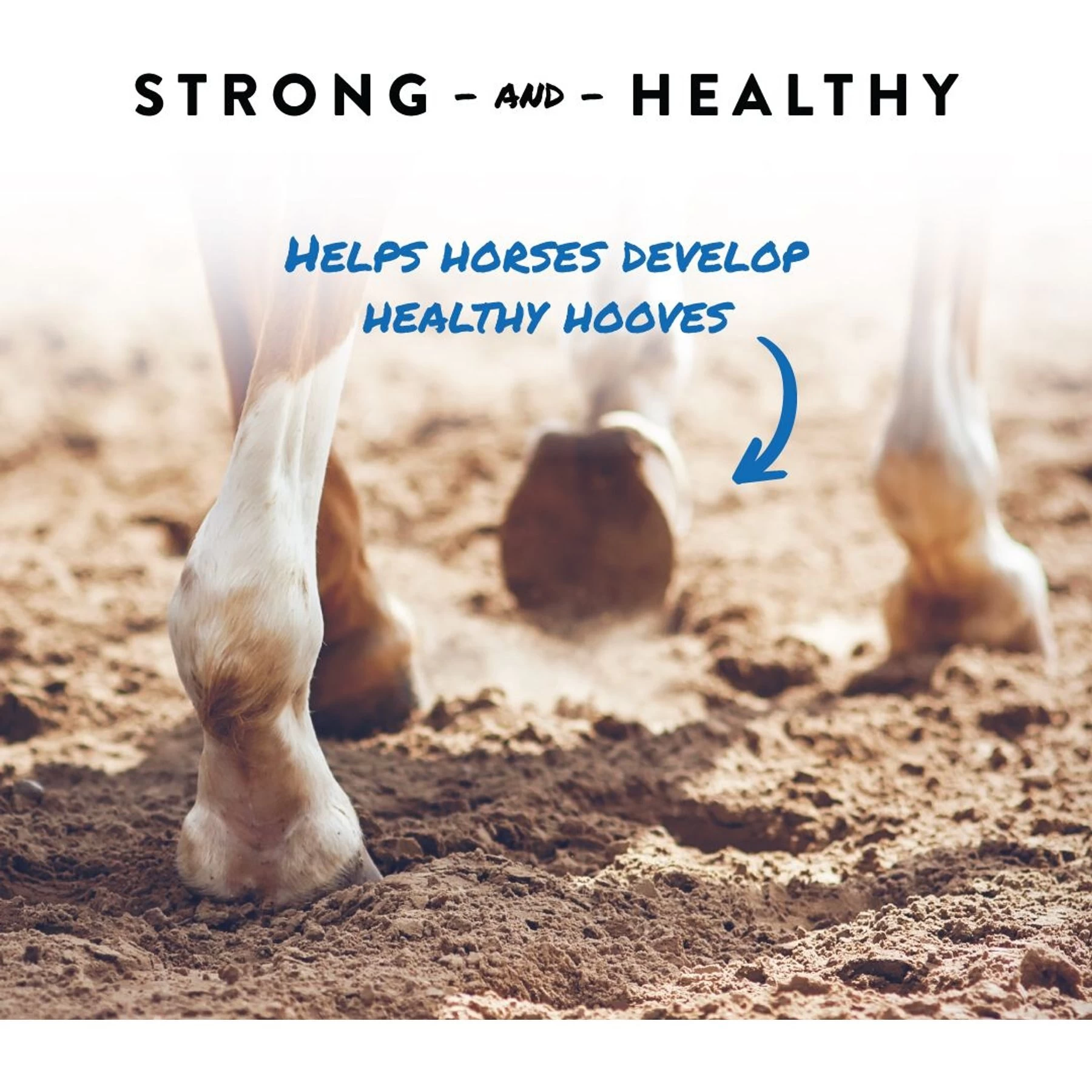 Manna Pro Sho-Hoof Biotin & Zinc Methionine For Healthy Hooves Horse Supplement, 5-lb Bag 2 Manna Pro Sho-Hoof Biotin & Zinc Methionine For Healthy Hooves Horse Supplement, 5-lb Bag - Image 2