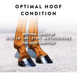 Manna Pro Sho-Hoof Biotin & Zinc Methionine For Healthy Hooves Horse Supplement, 5-lb Bag 10 Manna Pro Sho-Hoof Biotin & Zinc Methionine For Healthy Hooves Horse Supplement, 5-lb Bag -Horse Supplies Shop 837414 PT2. AC SS1800 V1683563127