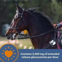 Farnam MaxFlex XR Extended Release Horse Joint Supplement, 0.9375-lb Jar 12 Farnam MaxFlex XR Extended Release Horse Joint Supplement, 0.9375-lb Jar -Horse Supplies Shop 840262 PT3. AC SS1800 V1684336637