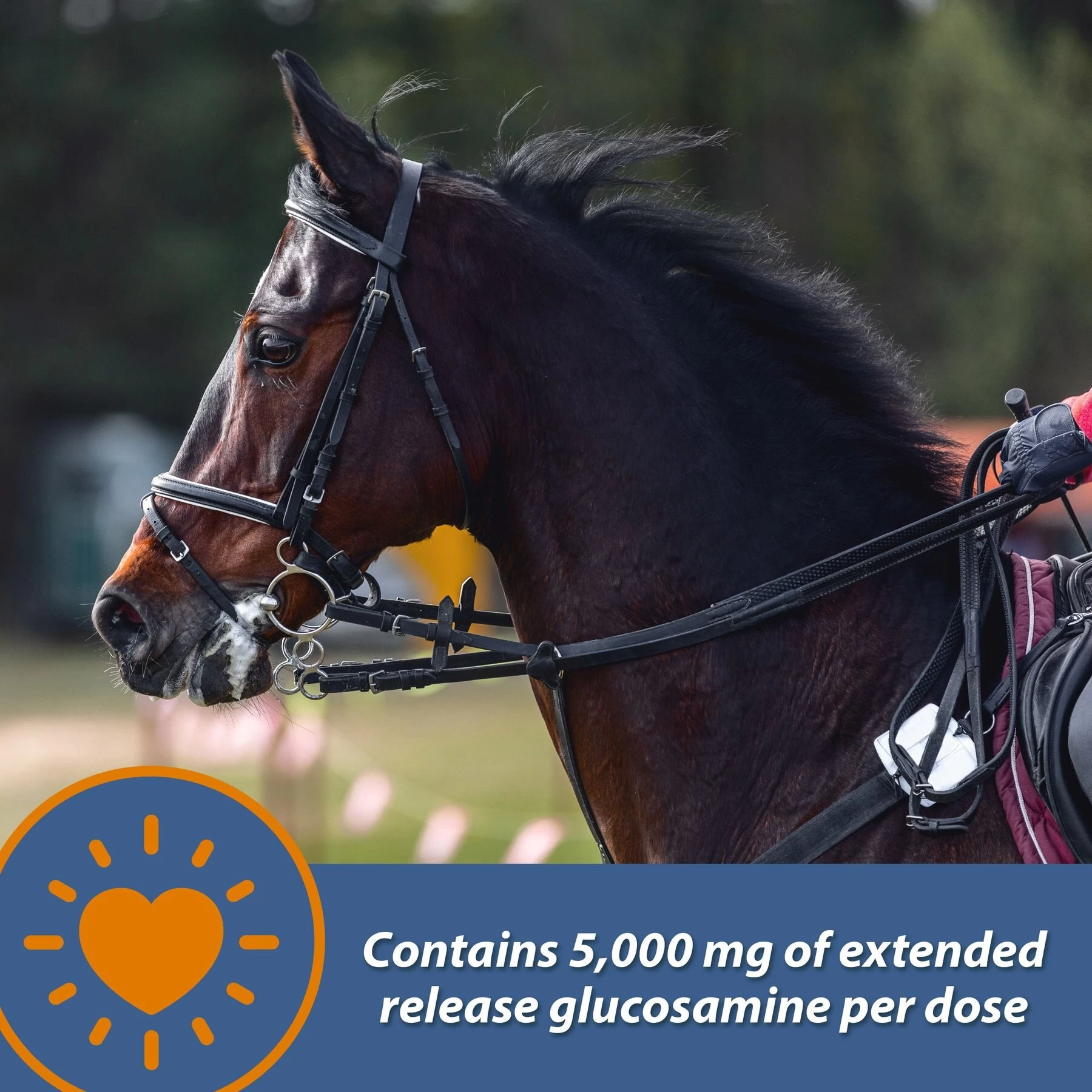 Farnam MaxFlex XR Extended Release Horse Joint Supplement, 0.9375-lb Jar 4 Farnam MaxFlex XR Extended Release Horse Joint Supplement, 0.9375-lb Jar - Image 4