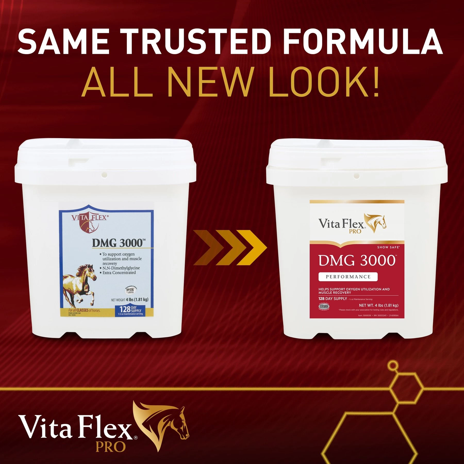 Vita Flex Pro DMG 3000 DMG Concentrate Horse Supplement, 4-lb Bag 2 Vita Flex Pro DMG 3000 DMG Concentrate Horse Supplement, 4-lb Bag - Image 2