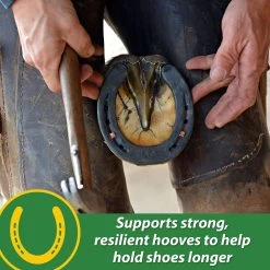 Farnam HB 15 Horse Hoof Supplement, 3-lb Bag -Horse Supplies Shop 847654 PT3. AC SS1800 V1685490909