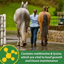 Farnam HB 15 Horse Hoof Supplement, 3-lb Bag -Horse Supplies Shop 847654 PT5. AC SS1800 V1685462257