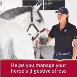 Vita Flex Pro Daily Gastric Care Horse Supplement, 16.5-lb -Horse Supplies Shop 857166 PT3. AC SS1800 V1692734526