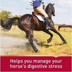 Vita Flex Pro Daily Gastric Care Horse Supplement, 16.5-lb -Horse Supplies Shop 857166 PT4. AC SS1800 V1692734924