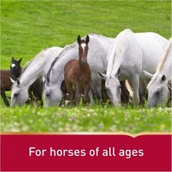 Vita Flex Pro Daily Gastric Care Horse Supplement, 16.5-lb -Horse Supplies Shop 857166 PT6. AC SS1800 V1686678876