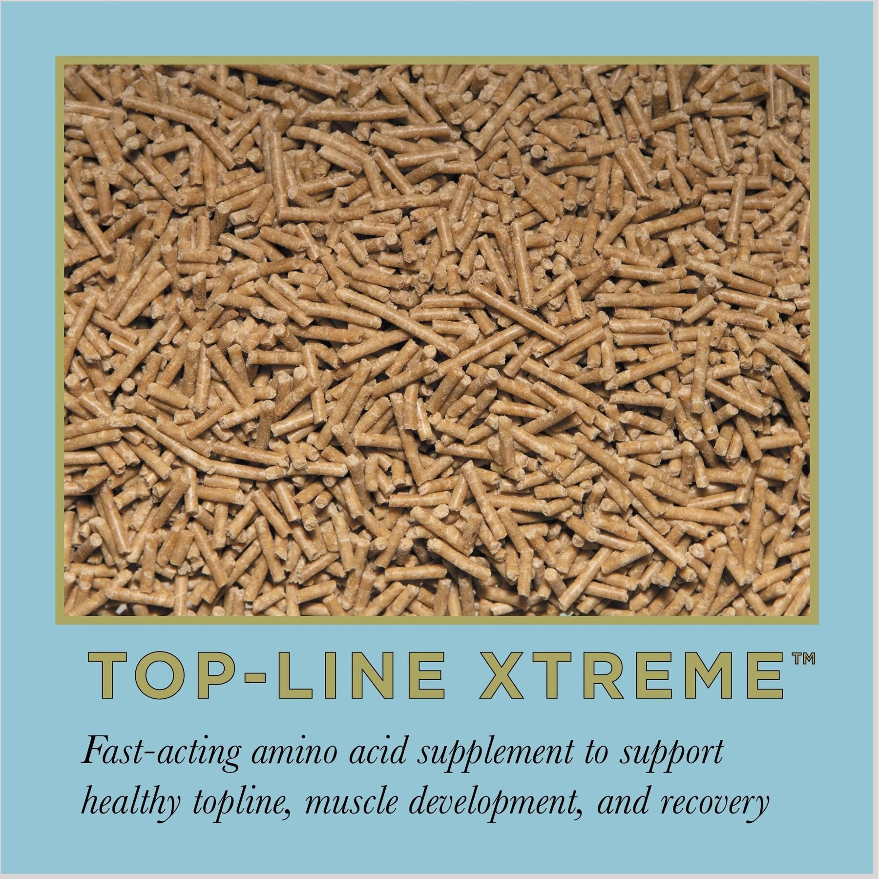 ProElite Top-Line Xtreme Topline Support Horse Supplement, 15-lb Pail 2 ProElite Top-Line Xtreme Topline Support Horse Supplement, 15-lb Pail - Image 2