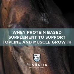 ProElite Top-Line Xtreme Topline Support Horse Supplement, 15-lb Pail 10 ProElite Top-Line Xtreme Topline Support Horse Supplement, 15-lb Pail -Horse Supplies Shop 888606 PT2. AC SS1800 V1693929450