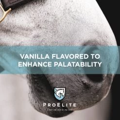 ProElite Top-Line Advanced Support Topline Support Horse Supplement, 2.2-lb Tub 10 ProElite Top-Line Advanced Support Topline Support Horse Supplement, 2.2-lb Tub -Horse Supplies Shop 888622 PT3. AC SS1800 V1693928401
