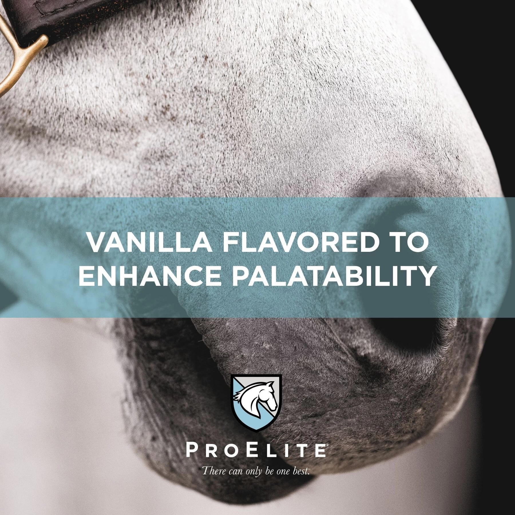 ProElite Top-Line Advanced Support Topline Support Horse Supplement, 2.2-lb Tub 4 ProElite Top-Line Advanced Support Topline Support Horse Supplement, 2.2-lb Tub - Image 4