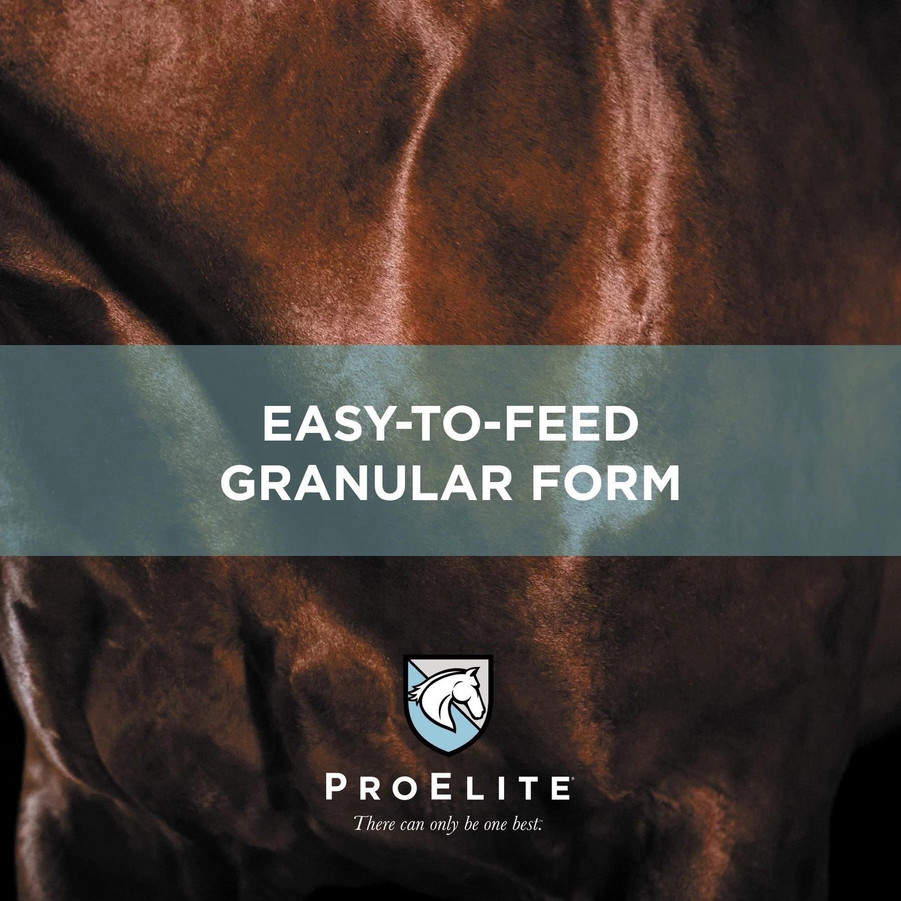 ProElite Top-Line Advanced Support Topline Support Horse Supplement, 2.2-lb Tub 5 ProElite Top-Line Advanced Support Topline Support Horse Supplement, 2.2-lb Tub - Image 5