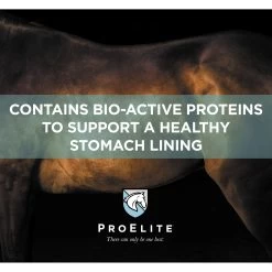 ProElite Soothing Pink Xtra Strength Gut Health Support Horse Supplement, 3-lb Tub -Horse Supplies Shop 888638 PT2. AC SS1800 V1693929418