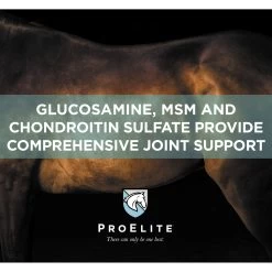 ProElite Joint & Cartilage Health Equine Supplement, 3-lb Tub 11 ProElite Joint & Cartilage Health Equine Supplement, 3-lb Tub -Horse Supplies Shop 888686 PT3. AC SS1800 V1693929446