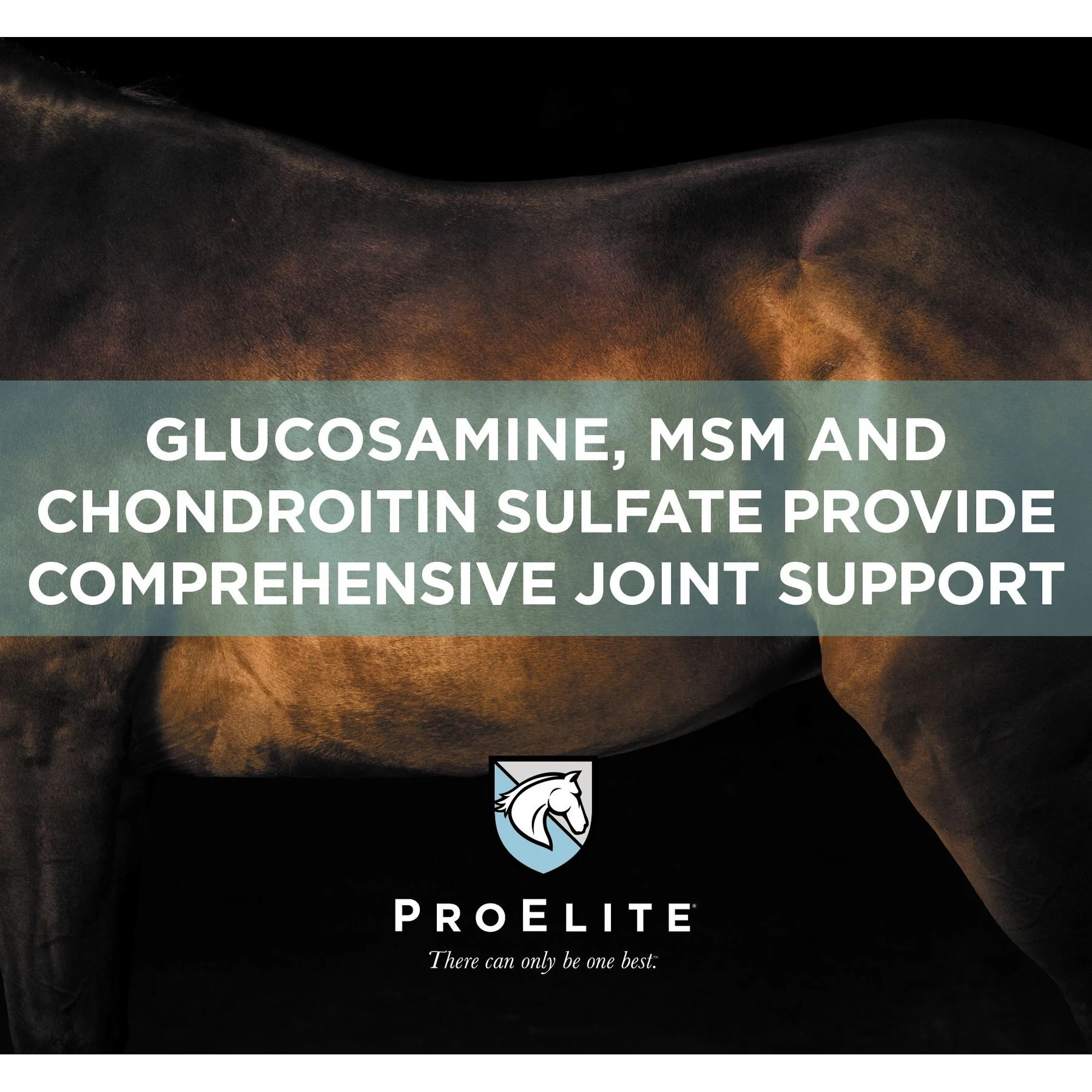 ProElite Joint & Cartilage Health Equine Supplement, 3-lb Tub 4 ProElite Joint & Cartilage Health Equine Supplement, 3-lb Tub - Image 4