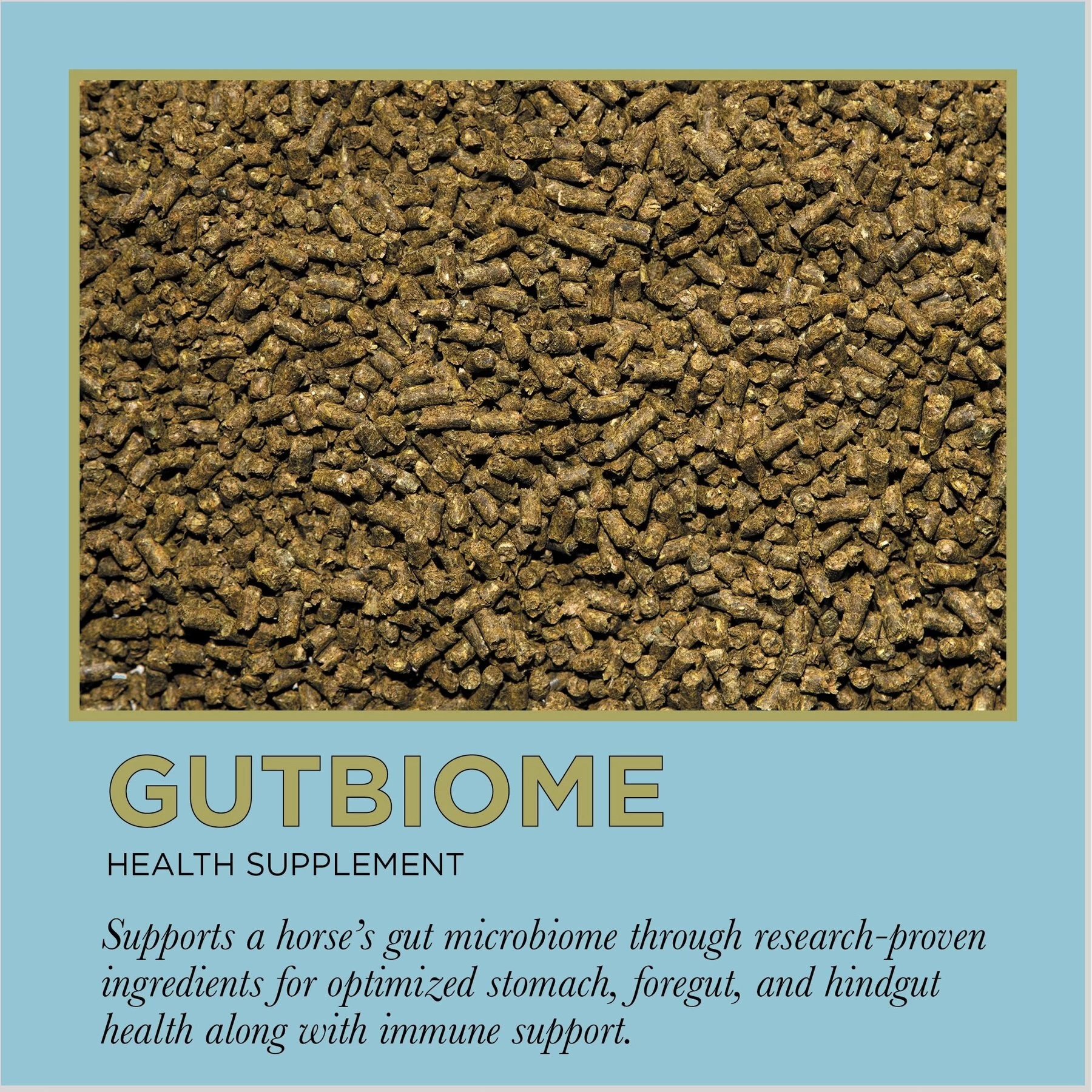ProElite GutBiome Gut Microbiome & Immunity Support Horse Supplement, 3-lb Tub 2 ProElite GutBiome Gut Microbiome & Immunity Support Horse Supplement, 3-lb Tub - Image 2