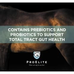 ProElite GutBiome Gut Microbiome & Immunity Support Horse Supplement, 3-lb Tub 11 ProElite GutBiome Gut Microbiome & Immunity Support Horse Supplement, 3-lb Tub -Horse Supplies Shop 888702 PT3. AC SS1800 V1693929476