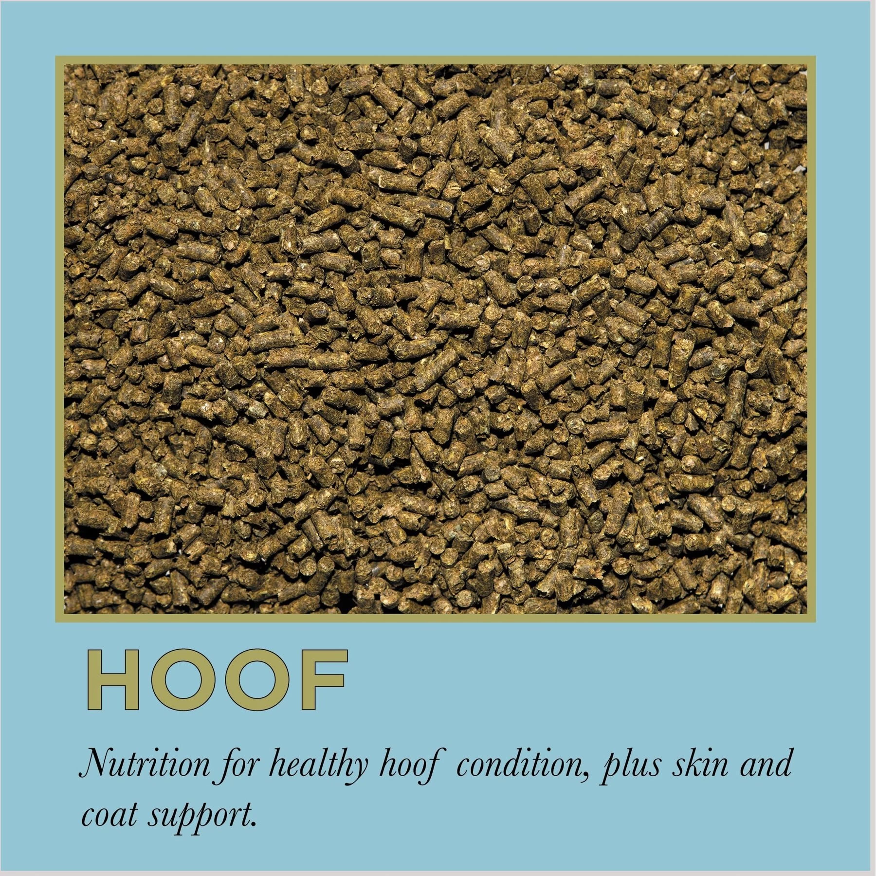 ProElite Hoof Healthy Hoof, Skin, & Coat Support Horse Supplement, 3-lb Tub 2 ProElite Hoof Healthy Hoof, Skin, & Coat Support Horse Supplement, 3-lb Tub - Image 2