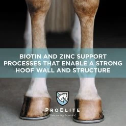 ProElite Hoof Healthy Hoof, Skin, & Coat Support Horse Supplement, 3-lb Tub 11 ProElite Hoof Healthy Hoof, Skin, & Coat Support Horse Supplement, 3-lb Tub -Horse Supplies Shop 888718 PT3. AC SS1800 V1693928370