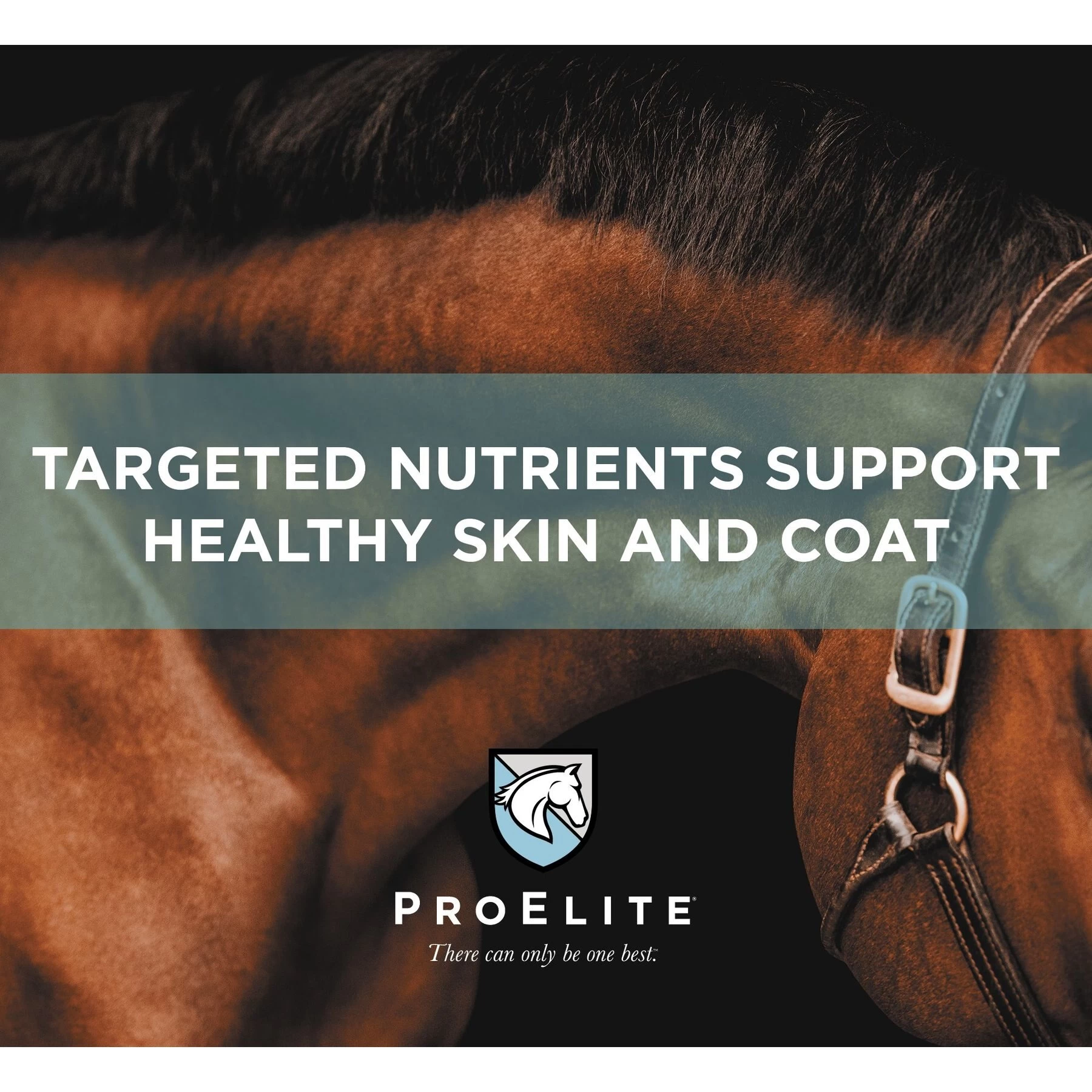 ProElite Hoof Healthy Hoof, Skin, & Coat Support Horse Supplement, 3-lb Tub 5 ProElite Hoof Healthy Hoof, Skin, & Coat Support Horse Supplement, 3-lb Tub - Image 5