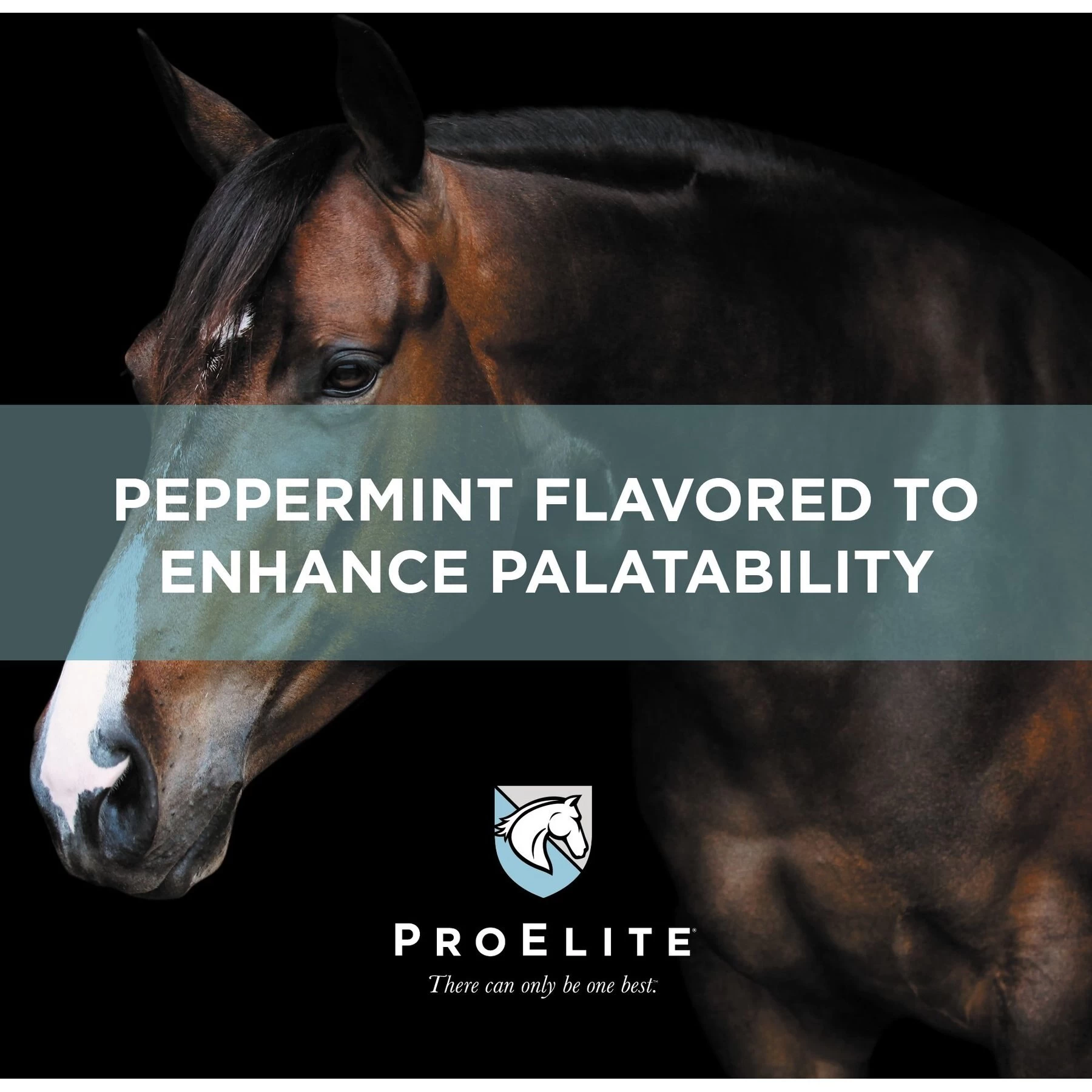 ProElite Rejuvenaide Max Pellet Healthy Joint & Leg Development In Foals Horse Supplement, 3-lb Tub 6 ProElite Rejuvenaide Max Pellet Healthy Joint & Leg Development In Foals Horse Supplement, 3-lb Tub - Image 6