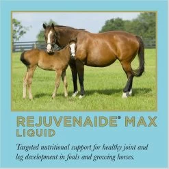 ProElite Rejuvenade Max Healthy Joint & Leg Liquid Horse Supplement, 3-lb Tub -Horse Supplies Shop 888750 PT1. AC SS1800 V1693933707