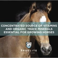 ProElite Rejuvenade Max Healthy Joint & Leg Liquid Horse Supplement, 3-lb Tub -Horse Supplies Shop 888750 PT3. AC SS1800 V1693929449