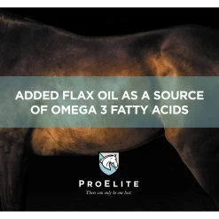 ProElite Rejuvenade Max Healthy Joint & Leg Liquid Horse Supplement, 3-lb Tub -Horse Supplies Shop 888750 PT4. AC SS1800 V1693929804