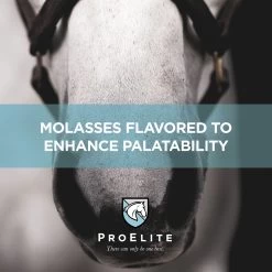 ProElite Rejuvenade Max Healthy Joint & Leg Liquid Horse Supplement, 3-lb Tub -Horse Supplies Shop 888750 PT5. AC SS1800 V1693928844