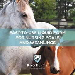 ProElite Rejuvenade Max Healthy Joint & Leg Liquid Horse Supplement, 3-lb Tub -Horse Supplies Shop 888750 PT6. AC SS1800 V1693927859