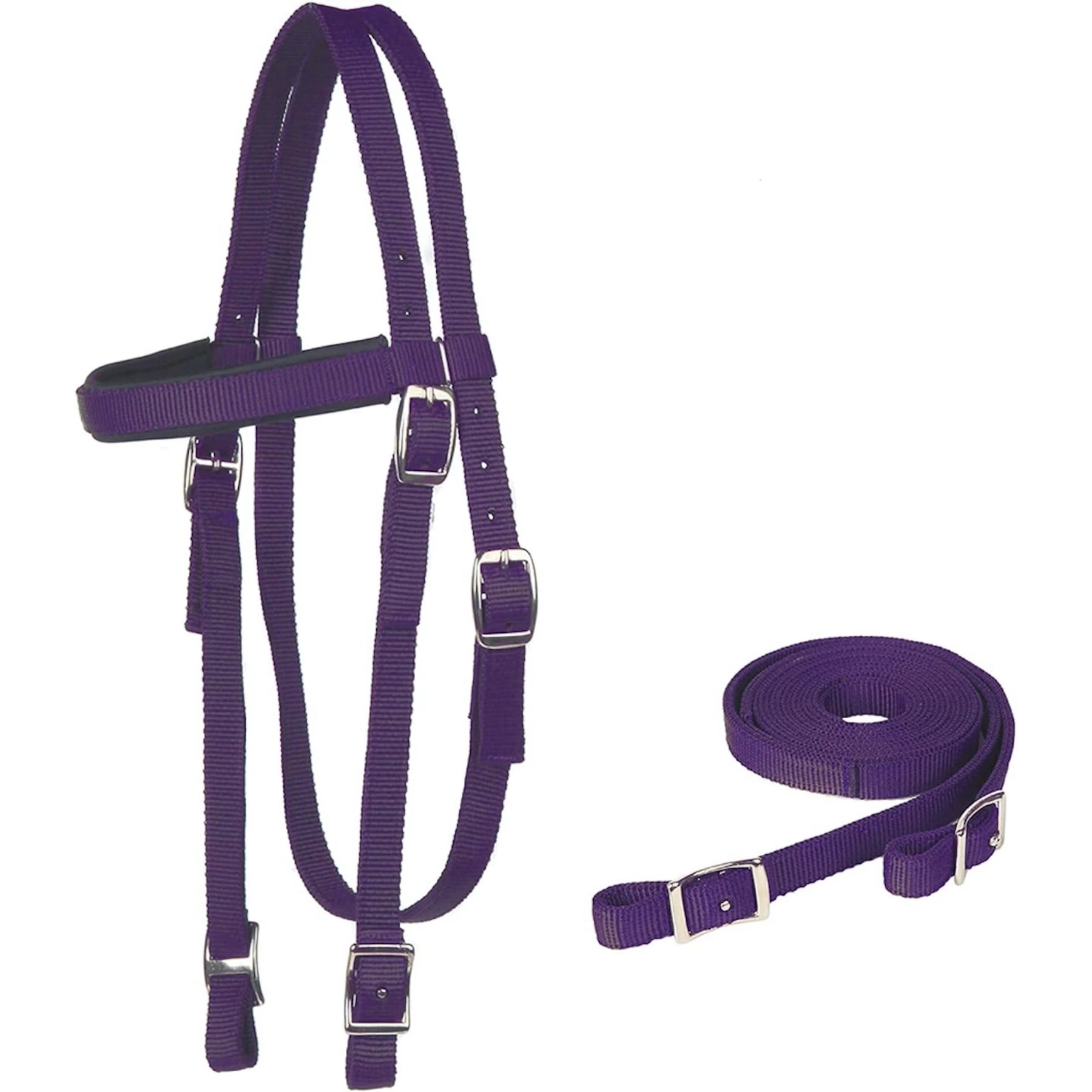 Majestic Ally Nylon Padded Browband Headstall With Reins Horse Tack 2 Majestic Ally Nylon Padded Browband Headstall With Reins Horse Tack - Image 2