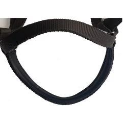 Majestic Ally Nylon Padded Browband Headstall With Reins Horse Tack 7 Majestic Ally Nylon Padded Browband Headstall With Reins Horse Tack -Horse Supplies Shop 900966 PT3. AC SS1800 V1698436996