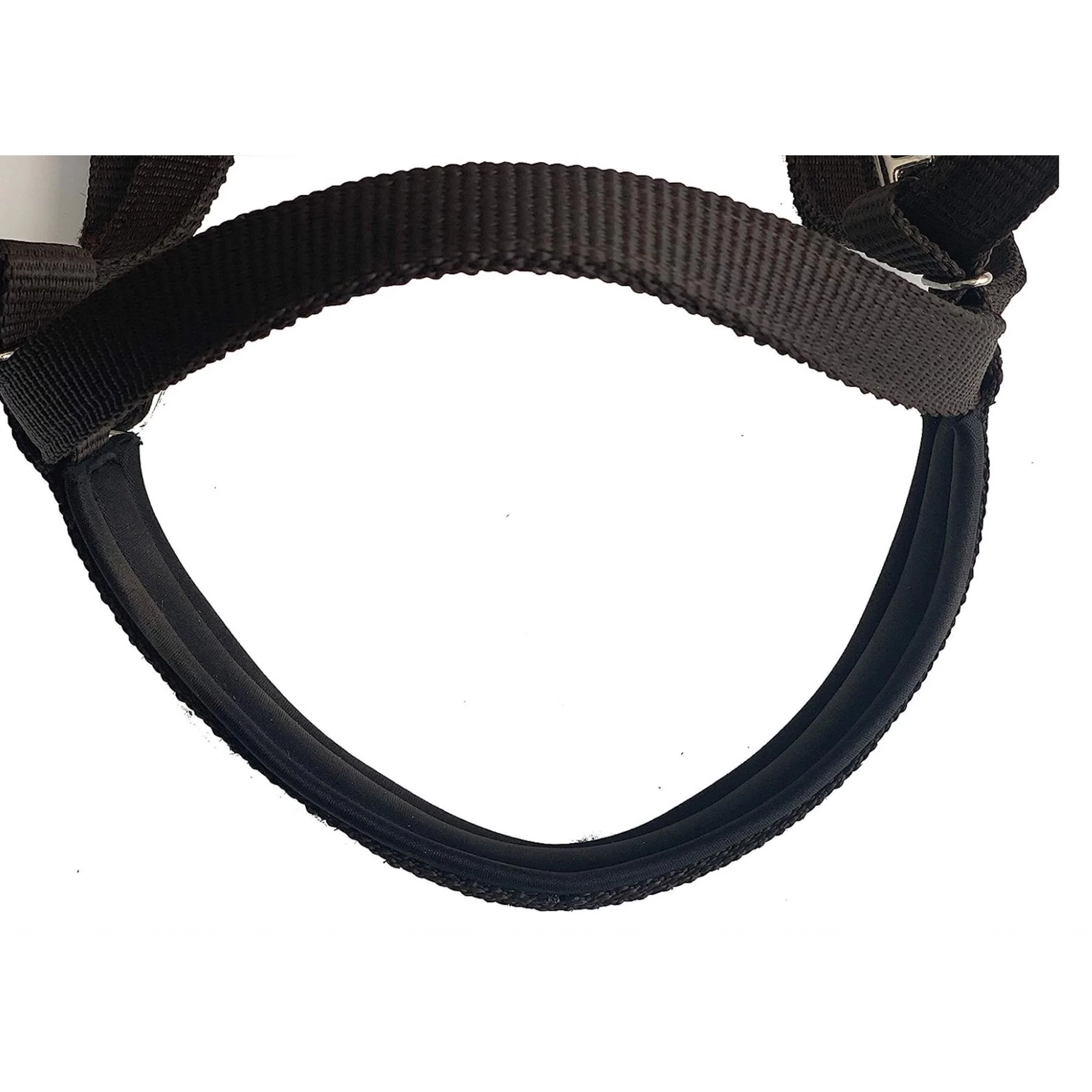 Majestic Ally Nylon Padded Browband Headstall With Reins Horse Tack 4 Majestic Ally Nylon Padded Browband Headstall With Reins Horse Tack - Image 4