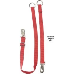 Majestic Ally Adjustable Nylon Bucket Hanger Horse Bucket Straps, 2 Count -Horse Supplies Shop 900998 PT5. AC SS1800 V1698415318