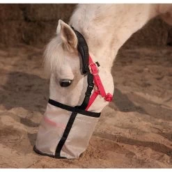 Majestic Ally Heavy Duty Nylon Mesh Feed Rite Horse Bag 13 Majestic Ally Heavy Duty Nylon Mesh Feed Rite Horse Bag -Horse Supplies Shop 901246 PT6. AC SS1800 V1698424339