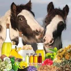The Blissful Dog Hoof Butter Horse Hoof Balm -Horse Supplies Shop 930574 PT5. AC SS1800 V1693928843