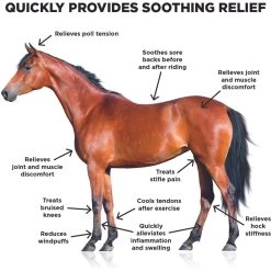 Ice Horse Cooling Liniment & Cold Therapy Extender Horse Liniment, 16-oz Bottle 6 Ice Horse Cooling Liniment & Cold Therapy Extender Horse Liniment, 16-oz Bottle -Horse Supplies Shop 955174 PT2. AC SS1800 V1694445837