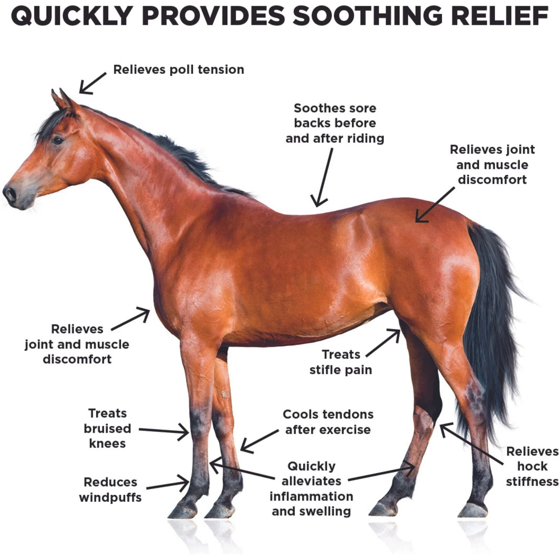 Ice Horse Cooling Liniment & Cold Therapy Extender Horse Liniment, 16-oz Bottle 3 Ice Horse Cooling Liniment & Cold Therapy Extender Horse Liniment, 16-oz Bottle - Image 3