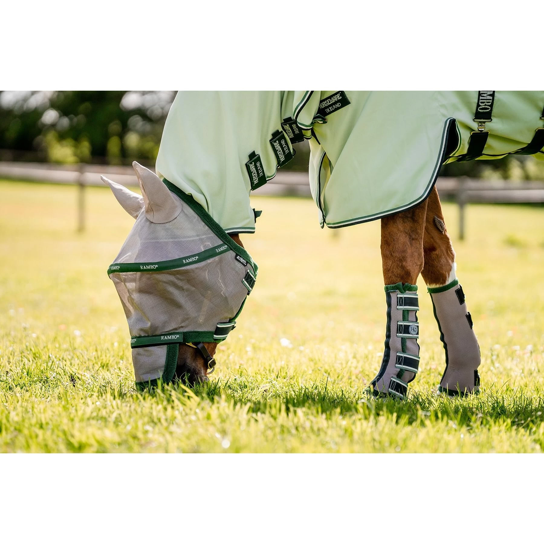 Horseware Ireland Horse Fly Boots 1 Horseware Ireland Horse Fly Boots