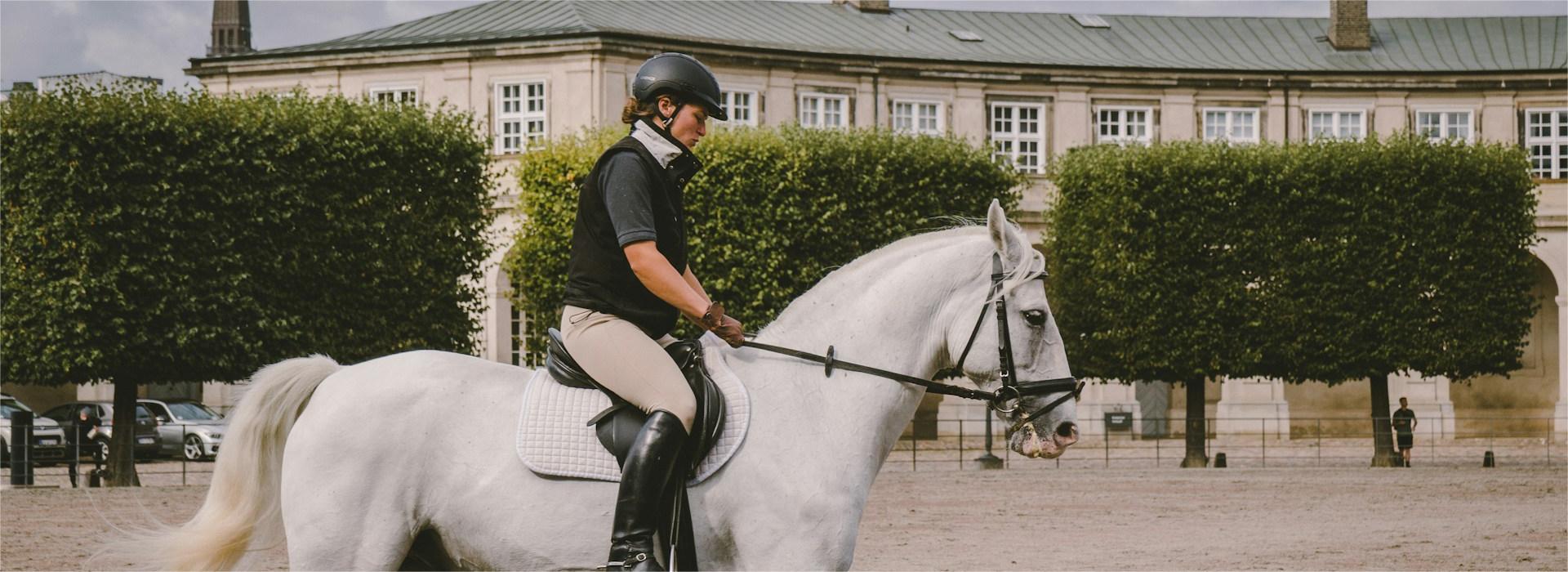 Horse Supplies Shop 2 Horse Supplies Shop -Horse Supplies Shop kristijan arsov tDchO37SyGE unsplash